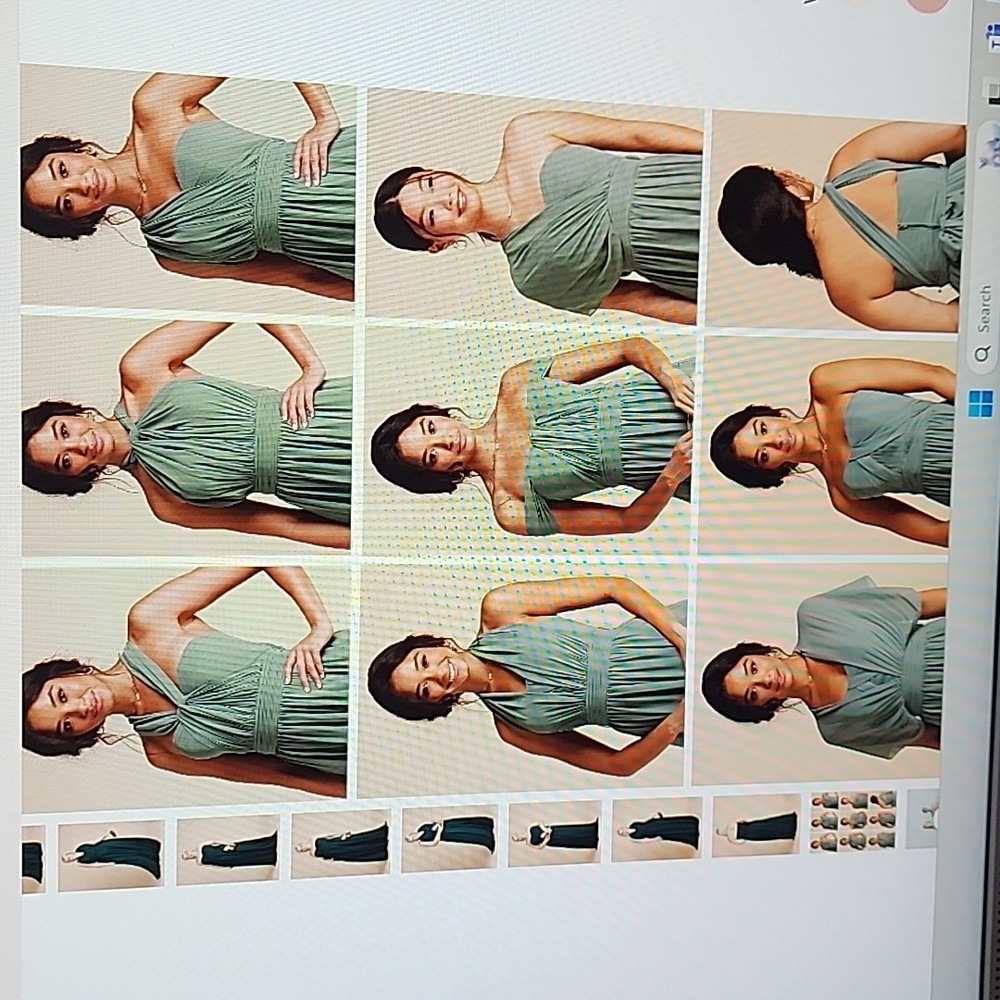 Birdy Grey chiffon Emerald dress XL